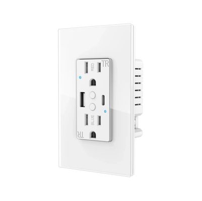 Plastic Tuya Wifi Smart Socket AC 100-240V With USB Type C